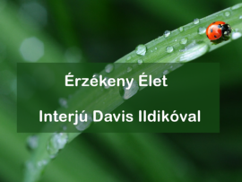 Érzékeny-élet_pexels-pixabay-40731