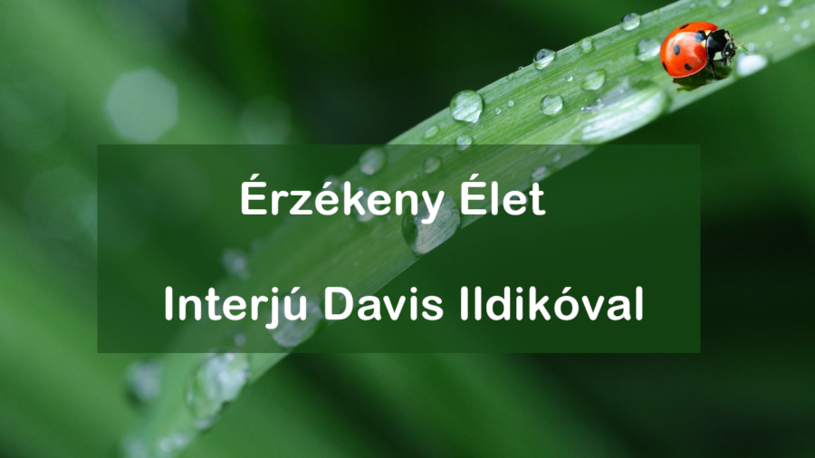 Érzékeny-élet_pexels-pixabay-40731